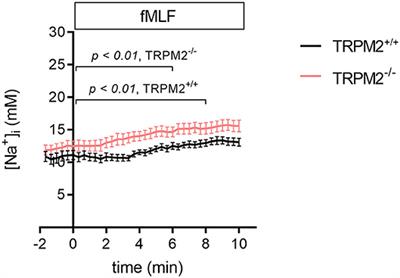 Role of the Intracellular Sodium Homeostasis in Chemotaxis of Activated Murine Neutrophils